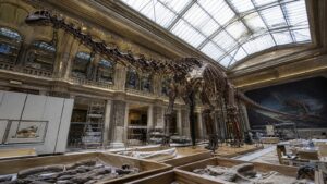 The Biggest Dinosaurs Ever Discovered ultra realistic featured image