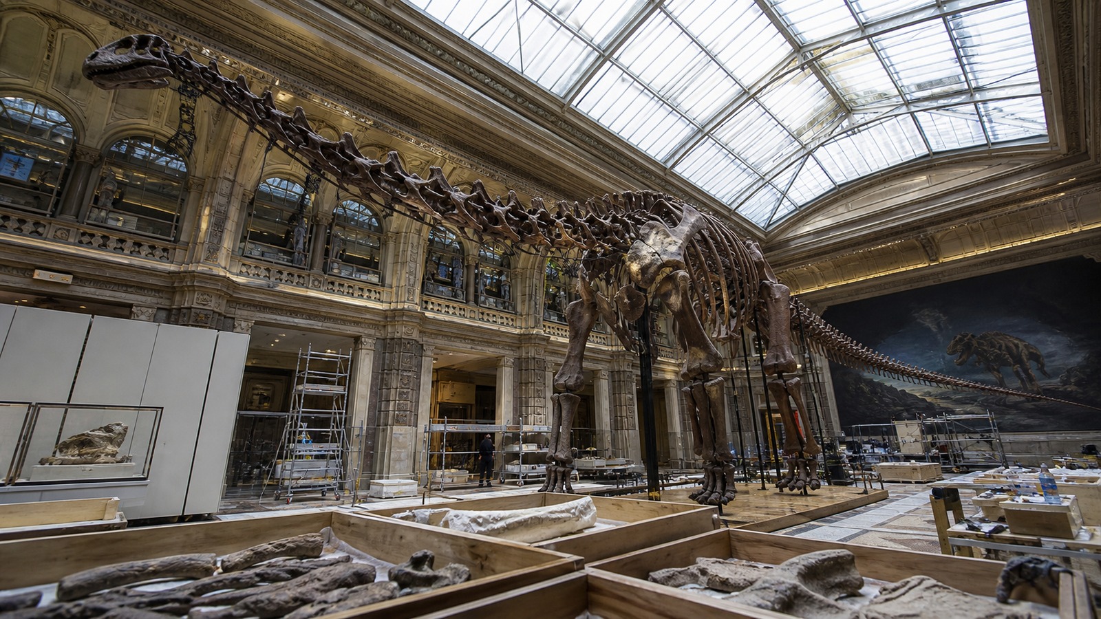 The Biggest Dinosaurs Ever Discovered ultra realistic featured image